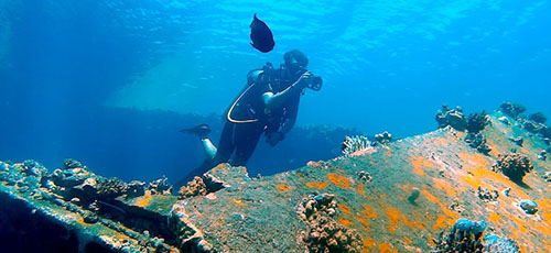 Featured image Use of Scuba Gear for Spear Fishing Blue Water Explorers - Use of Scuba Gear for Spear Fishing